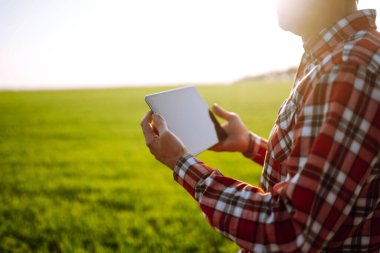 Elinde dijital tabletle çiftçi, tarladaki genç buğdayın durumunu kontrol ediyor. Ufuktaki batan güneş ışınlarının kırsal çayırdaki uzayı kopyalayın. Zengin Hasat.