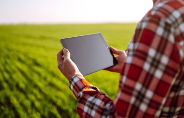 Elinde dijital tabletle çiftçi, tarladaki genç buğdayın durumunu kontrol ediyor. Ufuktaki batan güneş ışınlarının kırsal çayırdaki uzayı kopyalayın. Zengin Hasat.