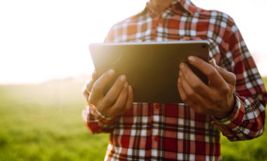 Elinde dijital tabletle çiftçi, tarladaki genç buğdayın durumunu kontrol ediyor. Ufuktaki batan güneş ışınlarının kırsal çayırdaki uzayı kopyalayın. Zengin Hasat.