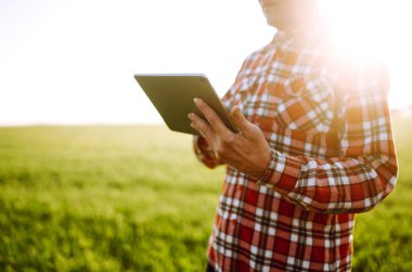 Elinde dijital tabletle çiftçi, tarladaki genç buğdayın durumunu kontrol ediyor. Ufuktaki batan güneş ışınlarının kırsal çayırdaki uzayı kopyalayın. Zengin Hasat.