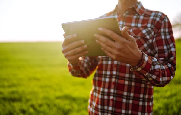 Boer Met Een Digitale Tablet Zijn Handen Controleert Conditie Van — Stockfoto