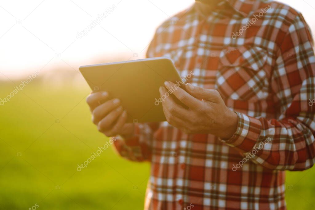 Farmer with a  digital tablet in his hands, checks the condition of young wheat in the field. Copy  space of the setting sun rays on horizon In rural meadow.  Rich Harvest.