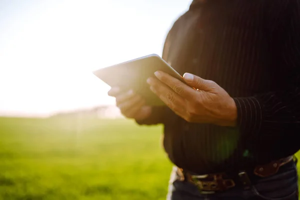 Boer Eigenaar Met Behulp Van Touchpad Voor Check Tarwe Veld — Stockfoto