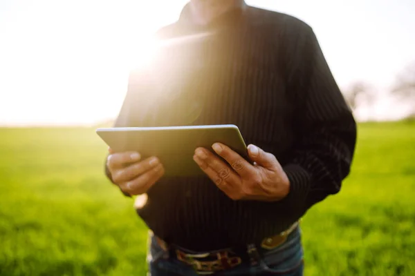 Proprietario Contadino Utilizzando Touchpad Controllare Campo Grano Tramonto Agricoltore Che — Foto Stock