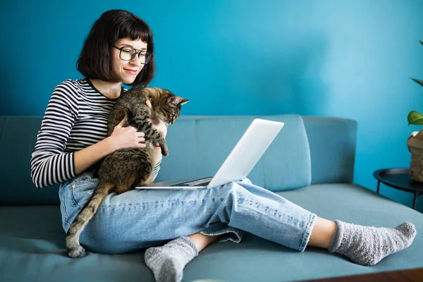 Freelancer Mulher Trabalhando Laptop Com Gato Sofá Casa Feminino Com — Fotografia de Stock