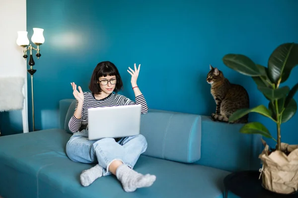 Woman freelancer working at the laptop with a cat on a sofa at home. Female with her cat spending time together in a favorite setting. Technology, freelance and  remote work concept.