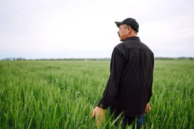 Yeşil buğday tarlasında çiftçi. Tarım büyümesi ve tarım sektörü kavramı.