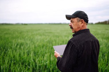 Çiftçi buğday tarlasını kontrol etmek için dijital tabletle çalışıyor. Yeşil buğday tarlası. Tarımsal büyüme ve tarım sektörü kavramı. Akıllı çiftlik.