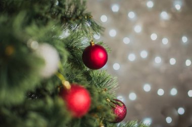 Noel partisi süslemeleri, çam ağacı ve bokeh.