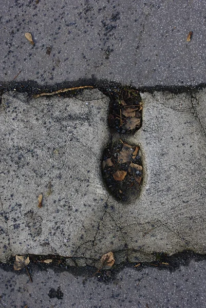 Old Asphalt Road Human Feet Step — Photo