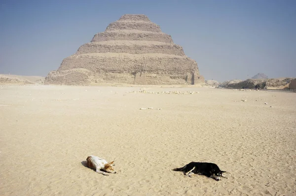 Giza Nın Ortasındaki Büyük Çölün Piramitleri — Stok fotoğraf