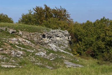 trees on rocky cliff mountains landscape in summer season 