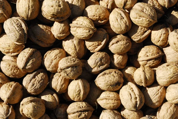 full walnuts shells background, food concept 