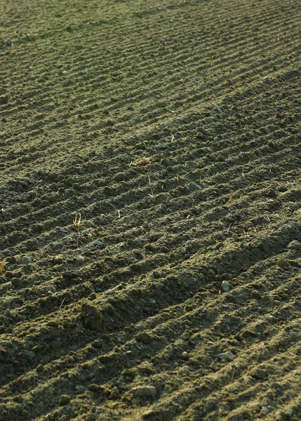 Countryside Agricultural Field Ground Soil — Stockfoto