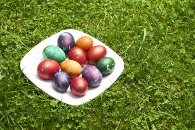 Beyaz tabakta yeşil çayır üzerinde Paskalya renkli yumurtalar 