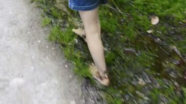 Back View Copped Video Image Walking Barefoot Kid Forest Mud — Stockvideo