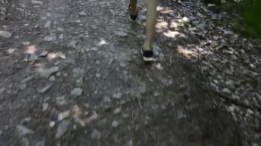 Arka plan, ormanda yürüyen çocuğun görüntüsü. 