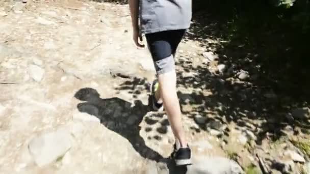 Вид Ззаду Копійоване Відео Зображення Хлопчика Ходить Лісі — стокове відео