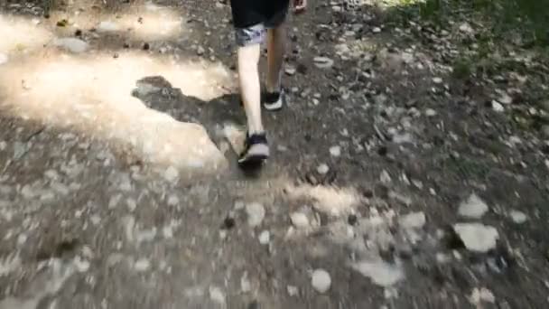 Back View Copped Video Image Walking Boy Forest — Stockvideo