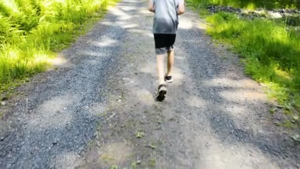Vista Trasera Imagen Vídeo Copped Niño Caminante Bosque — Vídeo de stock