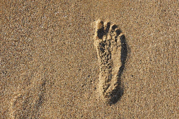 sandy beach surface and foot step texture