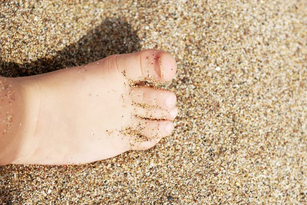 sandy beach surface baby toes on foot