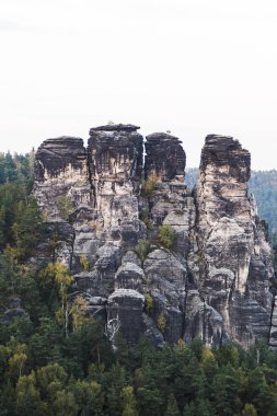 Yaz günü yeşil orman dağlarında büyük kaya