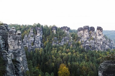 Yaz günü yeşil orman dağlarında büyük kaya