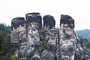 Yaz günü yeşil orman dağlarında büyük kaya