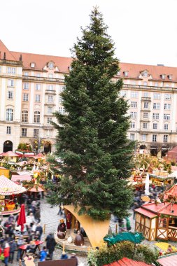 Almanya 'da büyük bir köknar ile Noel pazarında kalabalık