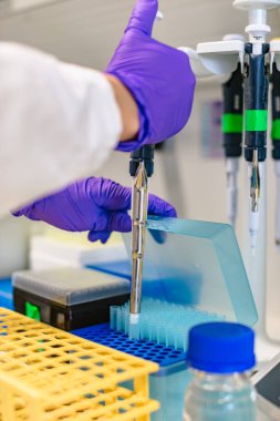 Kauçuk eldivenli kadın eller test tüpü tutuyor.