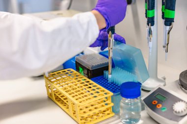 Bilim adamının test tüpleriyle örnek kutusu hazırlanıyor.