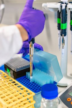 Bilim adamının test tüpleriyle örnek kutusu hazırlanıyor.