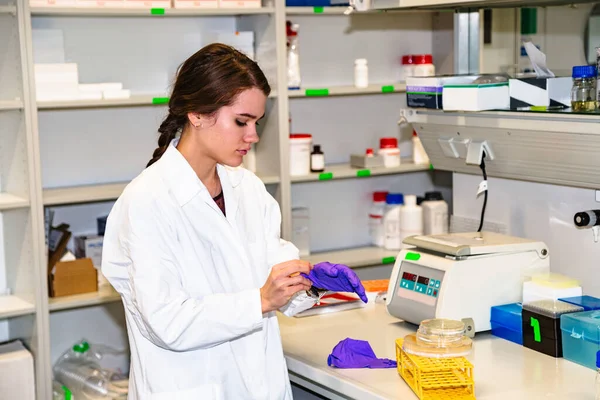 Female student or lab assistant working in lab
