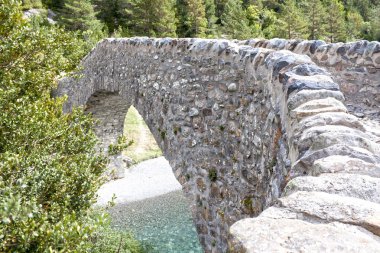 bir nehir orman arkasında, Pyrenees, İspanya üzerinde taş kemer
