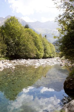 Onları yansıması ile bazı ağaçlar ve dağlar
