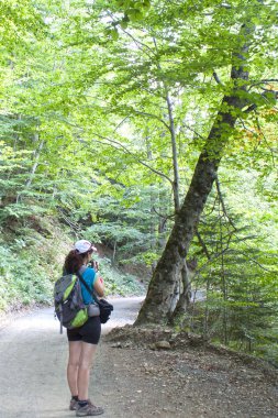 bir şekilde onu kamera ile orman ortasında Walker