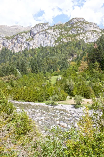 Pyrenees dağlarda ve bir nehir manzara