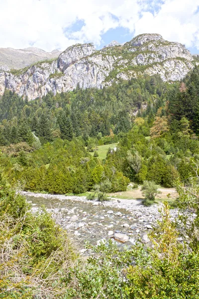 Táj a Pireneusokban, a hegyek és a folyó — Stock Fotó