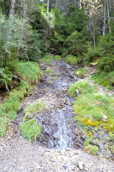 Vodopád uprostřed lesa se spoustou suchých listů — Stock fotografie