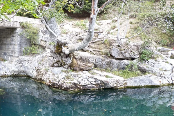 Boom over een blauwe meer als een paradijs in Spanje — Stockfoto