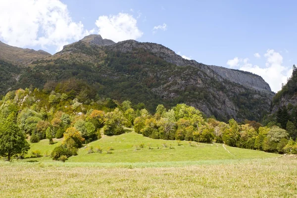 Bergskedja och träd nedanför i kullen, Pyrenéerna — Stockfoto