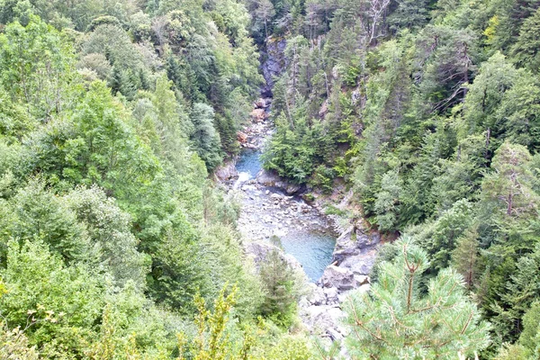 Lago en medio del bosque de tees de pino —  Fotos de Stock