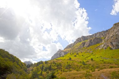 gökyüzü bulutlar bir vadi ile dolu, ağaçlar ve otlar ile
