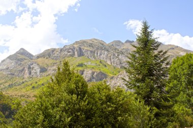 aralığı dağ Pyrenees, İspanya bazı çam ağaçların arkasında