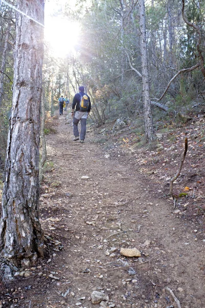 Guy wandelen midden in het bos in een zonnige dag, Spanje — Stockfoto