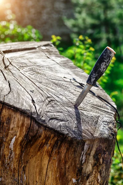 Steel arms. Throwing a knife. The knife stuck in the bark of a t — Stock Photo, Image