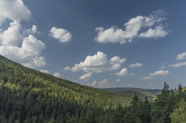 Ormandaki Certova stena taş duvar
