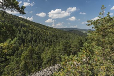 Ormandaki Certova stena taş duvar