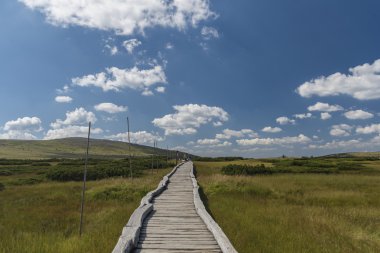Güneşli yaz günü dağda Krkonose